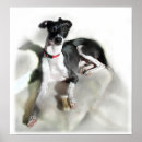 Search for iggy art Dog