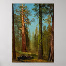 Search for grizzly posters Usa