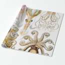 Search for squid wrapping paper Ernst haeckel