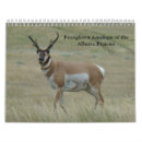 Search for antelope calendars Wildlife