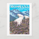 Search for mountain scenes postcards Montana