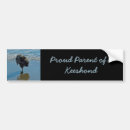 Search for beach bumper stickers Photograph