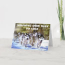 Search for alaska birthday cards Husky