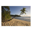 Search for seychelles travel posters Tourism
