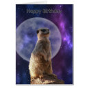 Search for full moon birthday cards Wildlife