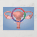 Search for four dimensional Biomedical illustrations