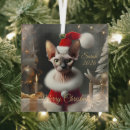 Search for sphynx cat christmas tree decorations Pet