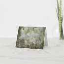 Search for impression cards Photography