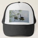 Search for water animal hats Nature