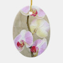 Search for orchid christmas tree decorations Nature