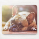 Search for boring mousepads Cute