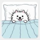 Search for bedding stickers Pets