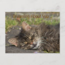 Search for nap postcards Dreams