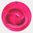 Search for red rose petals stickers Flower