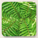 Search for green fern coasters Forest