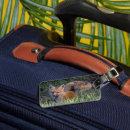 Search for anima accessories Cute baby animal