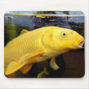 Search for koi fish mousepads Gold