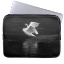 Search for waterfowl electronics White