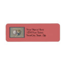 Search for seaside return address labels Seashells