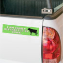 Search for cattle bumper stickers Cowgirls