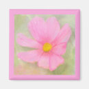 Search for cosmos magnets Garden