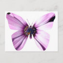 Search for grandmothers postcards Nature