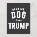 Search for trump hate postcards Politics