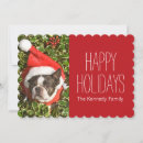 Search for boston terrier christmas cards Snow