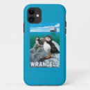 Search for wrangell iphone cases Lantern