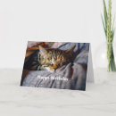 Search for tabby cat birthday cards Cute