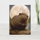 Search for nature birthday cards Wildlife