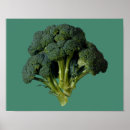 Search for broccoli posters Veggie