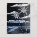 Search for black and white palm trees postcards Tropical
