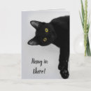 Search for black cat get well cards Encouragement