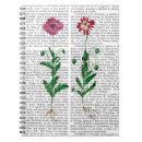 Search for italian notebooks Steampunk