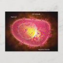 Search for hematology postcards Horizontal