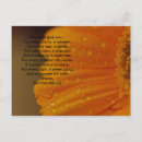 Search for irish prayer blessing postcards Celtic