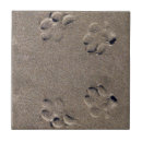 Search for dog paw print tiles Animal