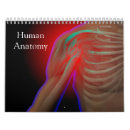 Search for anatomy calendars Body
