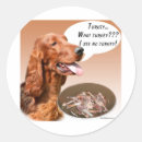 Search for irish setter stickers Dog