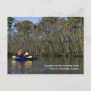 Search for swamp river Florida