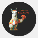 Search for knock knock stickers Boxing