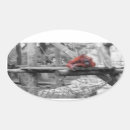 Search for orangutans stickers Primates