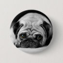 Search for sad animal badges Dog