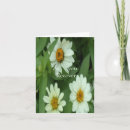 Search for recover cards Photography