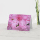 Search for cad cards Pink