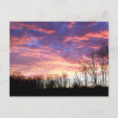 Search for yellow sky postcards Pink