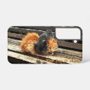 Search for animals samsung cases Kitten