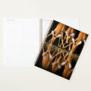 Search for conservation planners Fauna
