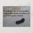 Search for memes photography Cool